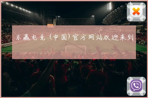 东赢电竞 (中国)官方网站欢迎来到