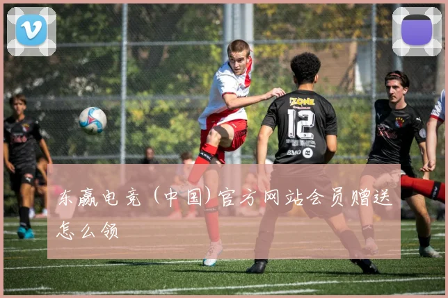 东赢电竞 (中国)官方网站会员赠送怎么领
