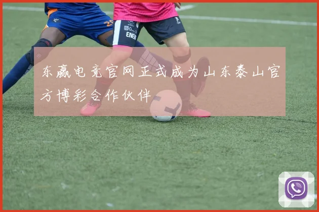东赢电竞官网正式成为山东泰山官方博彩合作伙伴