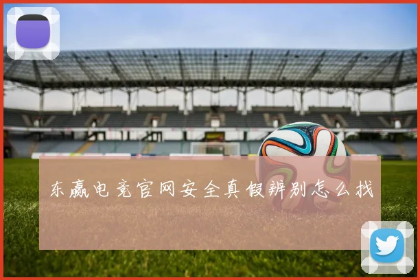 东赢电竞官网安全真假辨别怎么找